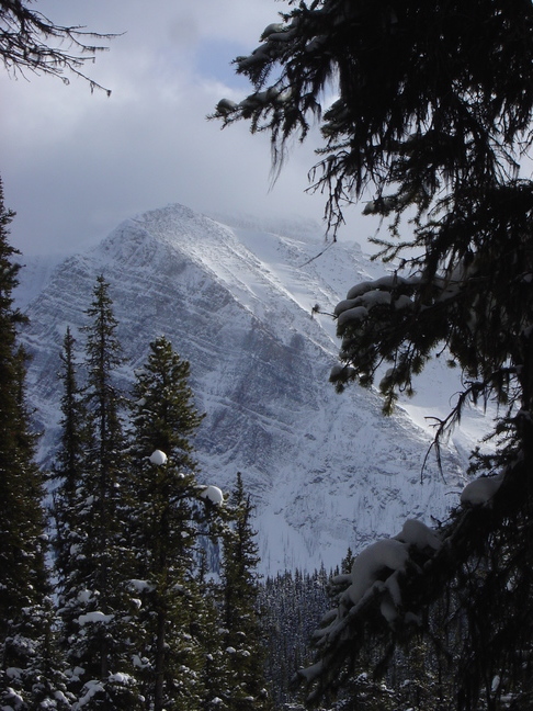 DSC04741